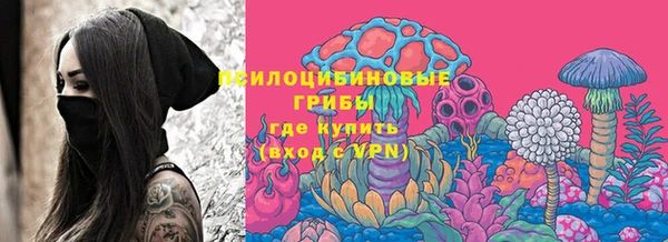 прущая мука Абаза