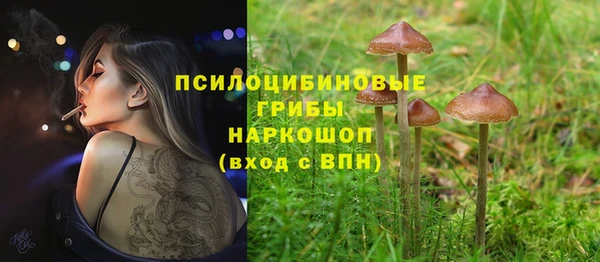 СК Алексеевка