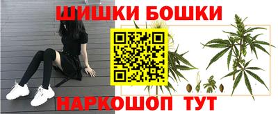 СК Обь