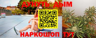 СК Обь