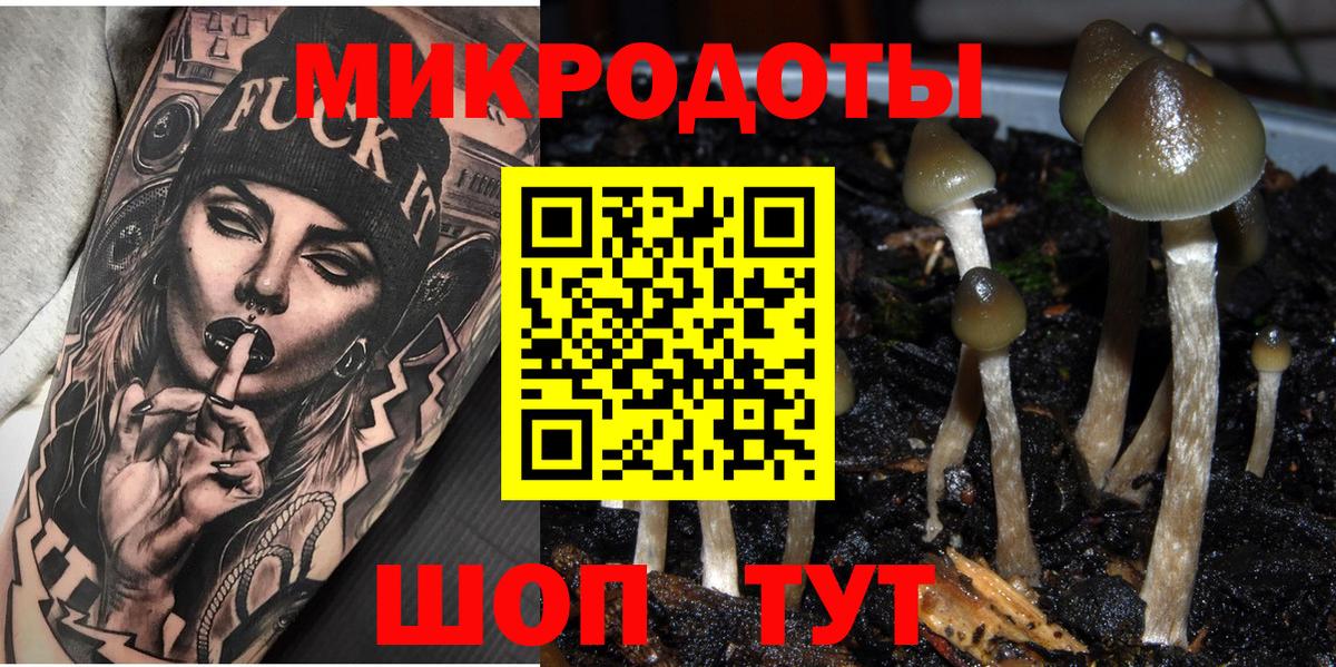 Псилоцибиновые грибы ЛСД  Псилоцибиновые грибы мицелий  Вологда  Вход с VPN 